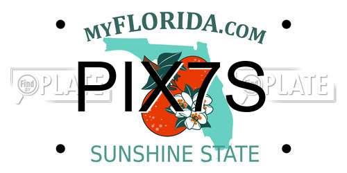 PIX7S Florida License Plate