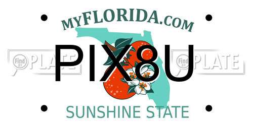 PIX8U Florida License Plate