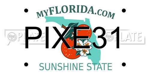 PIXE31 Florida License Plate