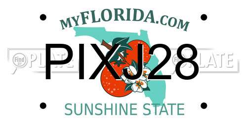PIXJ28 Florida License Plate