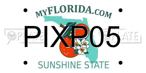 PIXP05 Florida License Plate