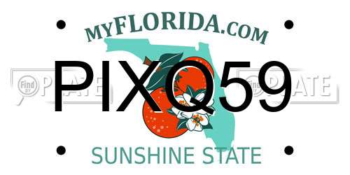 PIXQ59 Florida License Plate