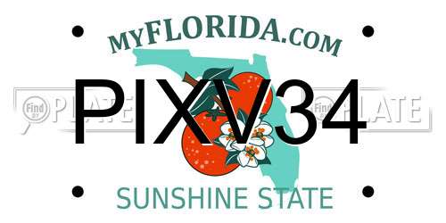 PIXV34 Florida License Plate