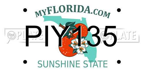 PIY135 Florida License Plate
