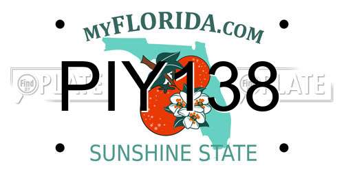 PIY138 Florida License Plate