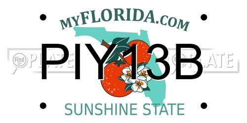 PIY13B Florida License Plate