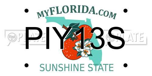 PIY13S Florida License Plate