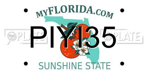 PIYI35 Florida License Plate