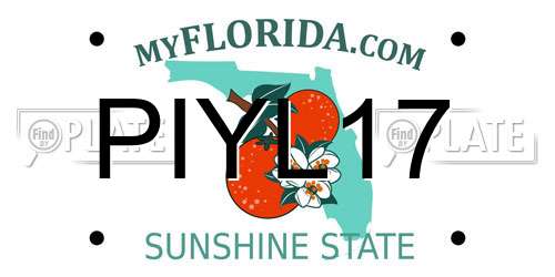 PIYL17 Florida License Plate