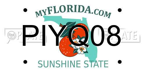PIYQ08 Florida License Plate