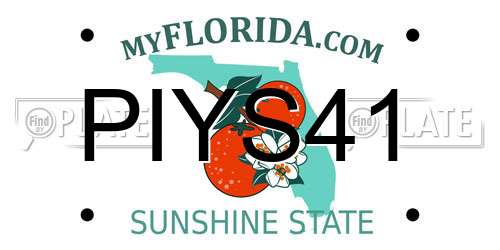 PIYS41 Florida License Plate