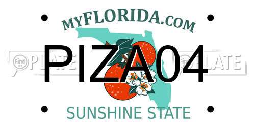 PIZA04 Florida License Plate