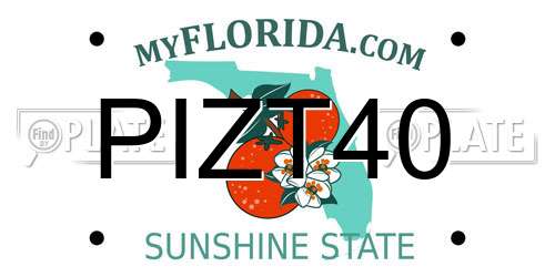 PIZT40 Florida License Plate