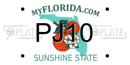PJ10 Florida License Plate