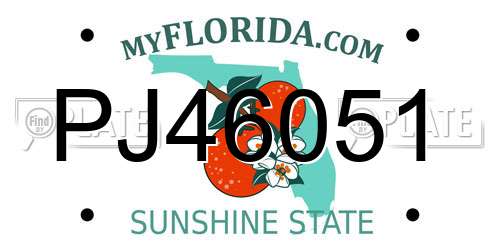 PJ46051 Florida License Plate