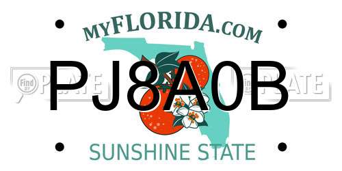 PJ8A0B Florida License Plate