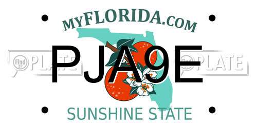 PJA9E Florida License Plate