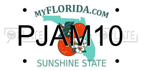 PJAM10 Florida License Plate