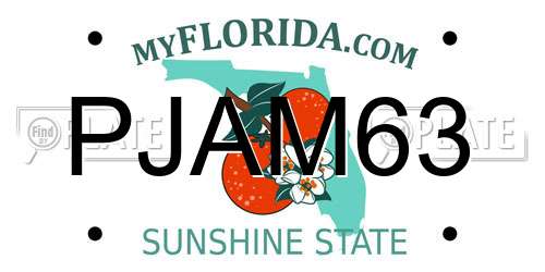 PJAM63 Florida License Plate
