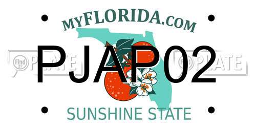 PJAP02 Florida License Plate