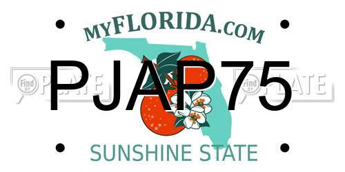 PJAP75 Florida License Plate