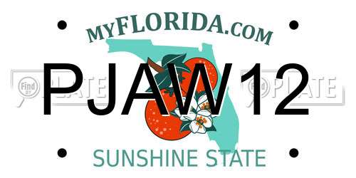 PJAW12 Florida License Plate
