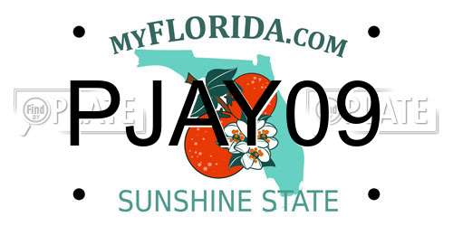 PJAY09 Florida License Plate