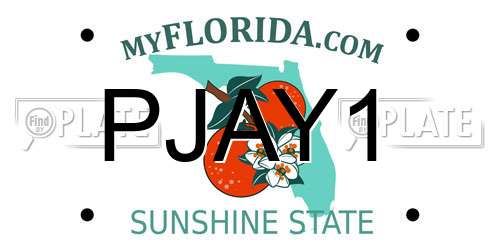 PJAY1 Florida License Plate