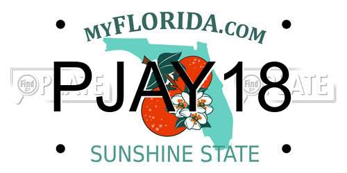 PJAY18 Florida License Plate