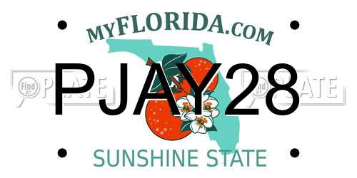 PJAY28 Florida License Plate