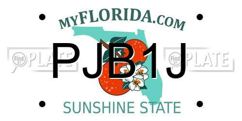 PJB1J Florida License Plate
