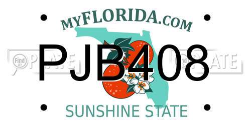 PJB408 Florida License Plate