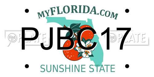 PJBC17 Florida License Plate