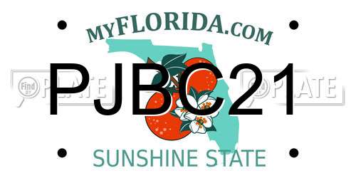 PJBC21 Florida License Plate