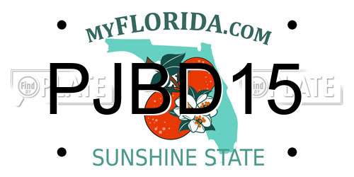 PJBD15 Florida License Plate