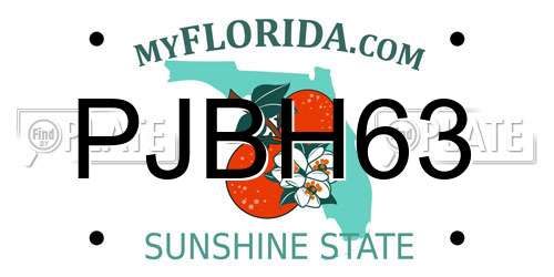 PJBH63 Florida License Plate