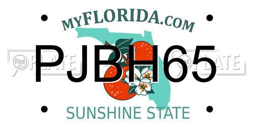 PJBH65 Florida License Plate
