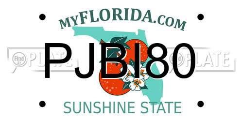 PJBI80 Florida License Plate