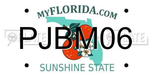 PJBM06 Florida License Plate