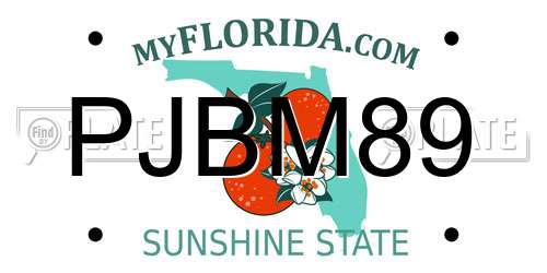 PJBM89 Florida License Plate