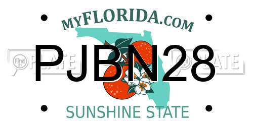 PJBN28 Florida License Plate