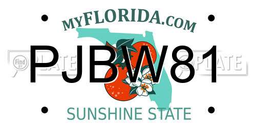 PJBW81 Florida License Plate