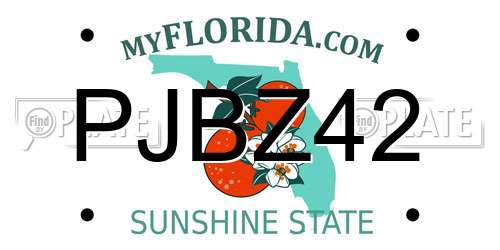 PJBZ42 Florida License Plate