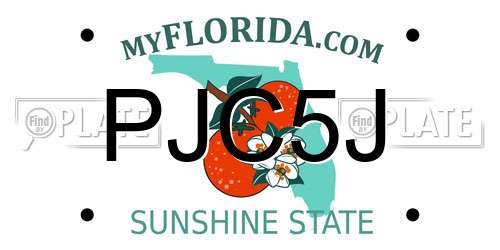 PJC5J Florida License Plate