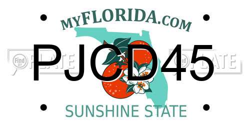 PJCD45 Florida License Plate