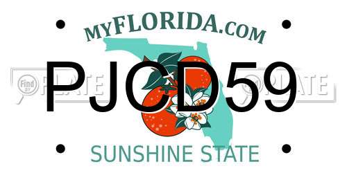 PJCD59 Florida License Plate
