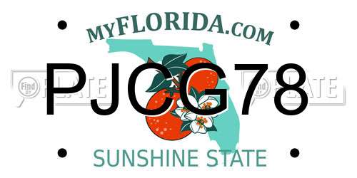 PJCG78 Florida License Plate