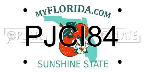 PJCI84 Florida License Plate