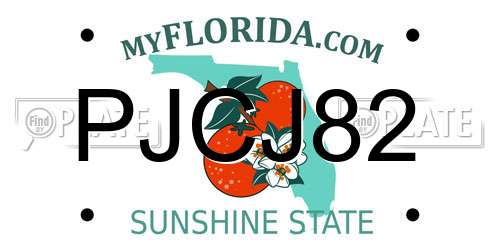 PJCJ82 Florida License Plate