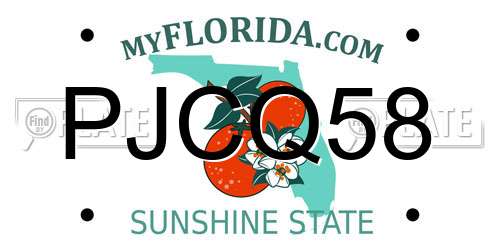 PJCQ58 Florida License Plate